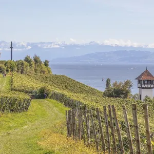 Alpine panorama near Meersburg