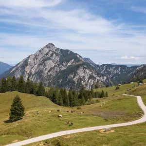 Alpine pasture area on the Postalm with Rinnkogel