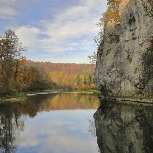 Amalienfels on the Danube, mixed forest in autumn colour Amalienfels on the Danube, mixed forest in autumn colour