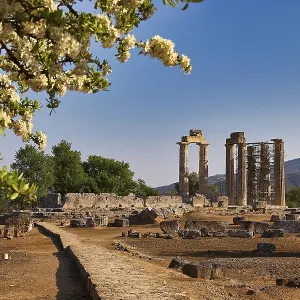 Ancient temple columns with blooming trees and mountains in the background under clear sky