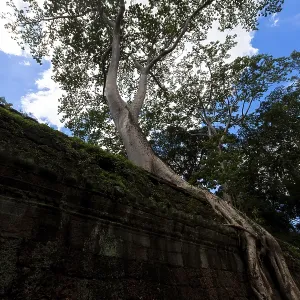 Angkor thom, the best archeological site, Cambodia
