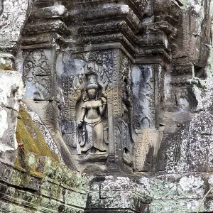 Apsara half-human, half-divine woman of Hinduism and Buddhism in the temple of Ta Prohm in Cambodia Apsara half-human, half-divine woman of Hinduism and Buddhism in the temple of Ta Prohm in Cambodia