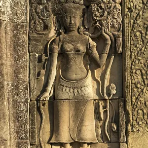 Apsara relief, Angkor Wat, Cambodia, Asia Apsara relief, Angkor Wat, Cambodia, Asia