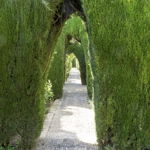 An arch at the Alhambra gardens in Granada
