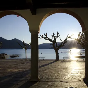 Arch and Bare Tree on the Waterfront to Lake Maggiore with Mountain and Sunbeam in Sunset in Ascona