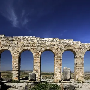 Arches of Volubilis Basilica Print, Morocco