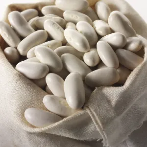 Argentin Beans Print
