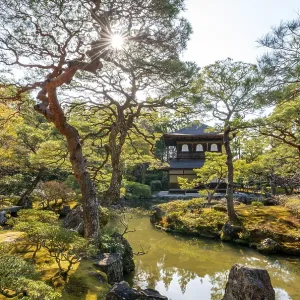 Artfully designed Japanese garden with pond and silver pavilion ginkaku Artfully designed Japanese garden with pond and silver pavilion ginkaku