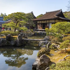 Artfully designed Japanese garden with pond and togudo Artfully designed Japanese garden with pond and togudo