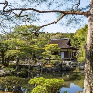 Artfully designed Japanese garden with pond with Togudo in Jisho-ji or Ginkaku-ji Artfully designed Japanese garden with pond with Togudo in Jisho-ji or Ginkaku-ji