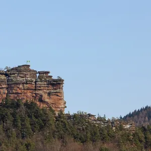 The Asselstein