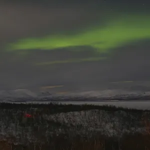 Aurora borealis over snow-covered mountains and birch trees Aurora borealis over snow-covered mountains and birch trees