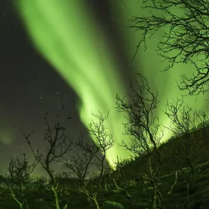 Aurora borealis at Tromvik, Norway Aurora borealis at Tromvik, Norway