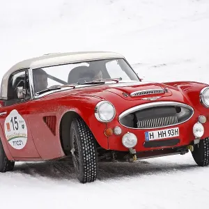 Austin Healey 3000, built in 1964 Austin Healey 3000, built in 1964
