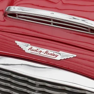 Austin Healey emblem on a Roadster