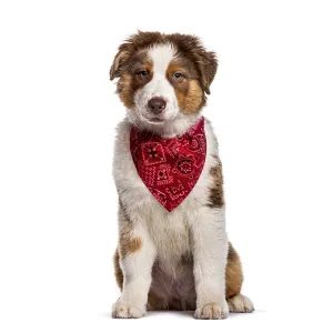 Australian shepherd puppy with red bandana sitting isolated on white background Australian shepherd puppy with red bandana sitting isolated on white background