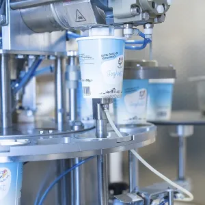 Automatic filling of yoghurt buckets in the factory