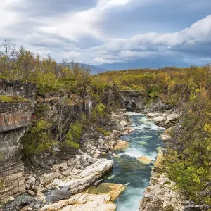 Autumn in Abisko canyon, Abisko National Park Autumn in Abisko canyon, Abisko National Park