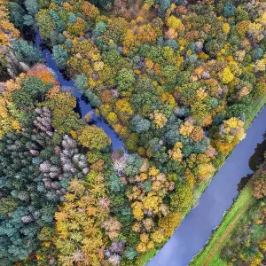 Autumn-colored trees on the Hunte