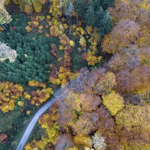 Autumn coloured mixed forest, aerial photo Autumn coloured mixed forest, aerial photo