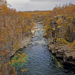 Autumn colours, Abisko Canyon with Abiskojakka stream Autumn colours, Abisko Canyon with Abiskojakka stream