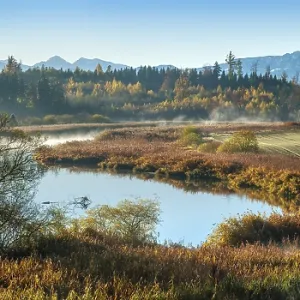 Autumn landscape at the river Alz