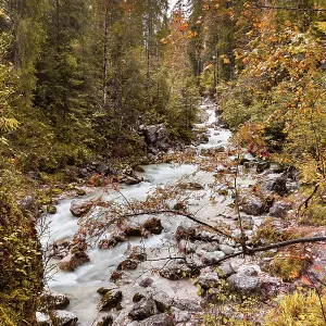 Autumn in the Magic Forest near Ramsau in Berchtesgadener Land Autumn in the Magic Forest near Ramsau in Berchtesgadener Land
