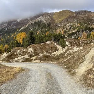 Autumn, Minschuns, Ofenpass, Tschierv