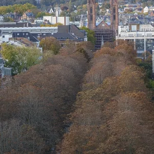 Autumn tree-lined avenue in a city with neo-Gothic towers in the background Autumn tree-lined avenue in a city with neo-Gothic towers in the background