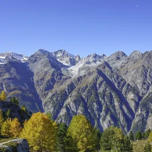Autumn trees and mountain peaks under clear sky