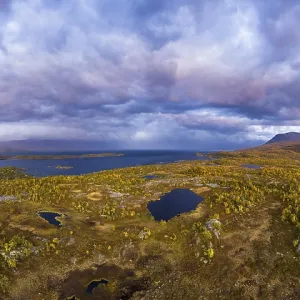 Autumnal fjeld, birches and tundra Autumnal fjeld, birches and tundra