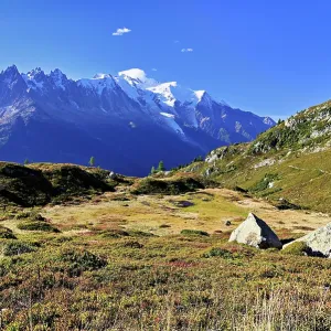 Autumnal Landscape with Snow-Covered Mont Blanc Print