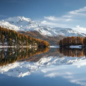 Autumnal larch forest and snow-covered mountains are reflected in the Lake Champfer Autumnal larch forest and snow-covered mountains are reflected in the Lake Champfer