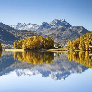 Autumnal larch forest and snow-covered mountains are reflected in the Lake Champfer Autumnal larch forest and snow-covered mountains are reflected in the Lake Champfer