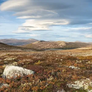 Autumnal Tundral landscape in Dovrefjell