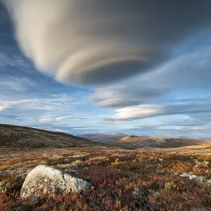 Autumnal Tundral landscape in Dovrefjell Autumnal Tundral landscape in Dovrefjell