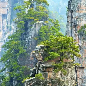 Avatar Mountains with vertical quartz-sandstone pillars