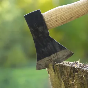 Axe or chopper stuck in a moss covered log of wood in a forest