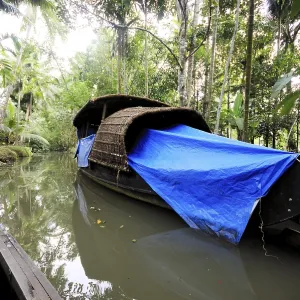 Backwater, Ernakulam, Kerala, India