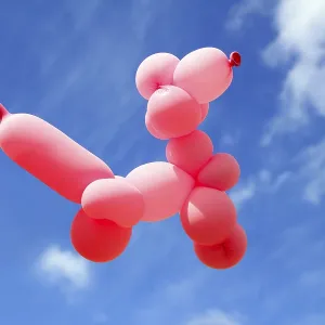 Balloon with poodle dog caniche shape flying in blue sky sunny day Balloon with poodle dog caniche shape flying in blue sky sunny day