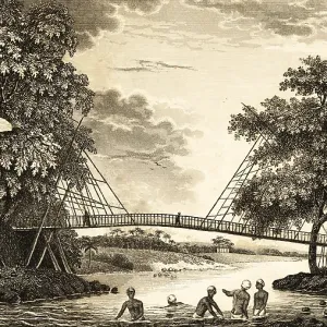 Bamboo cane suspension bridge in the tropics