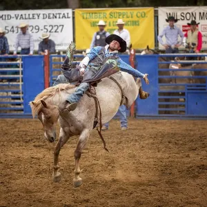 Bareback bronc competition, Philomath Rodeo Bareback bronc competition, Philomath Rodeo