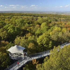 Baumkronenpfad treetop trail in autumn