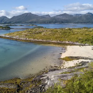 Bay with white sandy beach and Nordic vegetation Bay with white sandy beach and Nordic vegetation