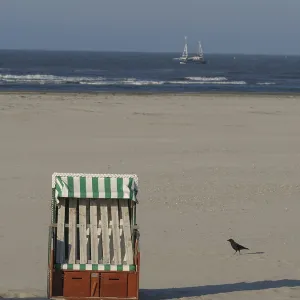 Beach chair on sandy beach with a bird