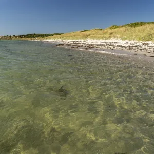 On the beach at Ristinge, Langeland Island On the beach at Ristinge, Langeland Island