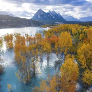 A beautiful aerial view of flooded forest with vibrant autumn-colored leaves A beautiful aerial view of flooded forest with vibrant autumn-colored leaves