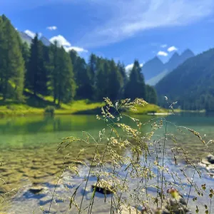 Beautiful Alpine Lake Preda Beautiful Alpine Lake Preda