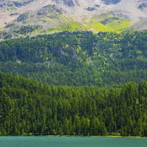 Beautiful Alpine Lake Silvaplana with Mountain View in the Swiss Alps in a Sunny Summer Day in Silvaplana Beautiful Alpine Lake Silvaplana with Mountain View in the Swiss Alps in a Sunny Summer Day in Silvaplana