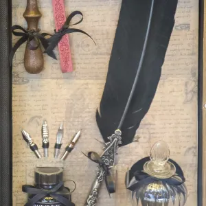 Beautiful bird feathers for decorative purposes Beautiful bird feathers for decorative purposes
